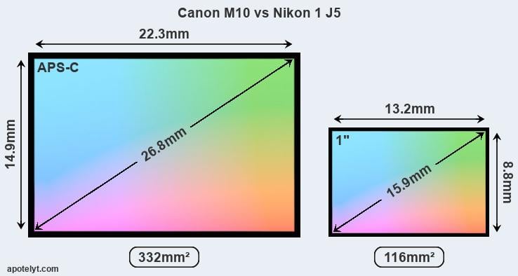 Canon M10 and Nikon 1 J5 sensor measures