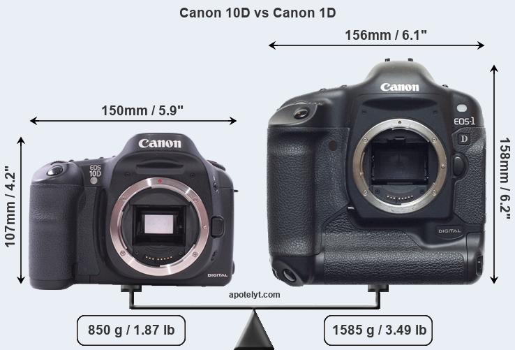 Size Canon 10D vs Canon 1D