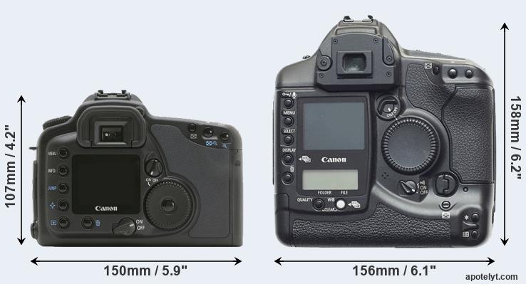 Canon 10D vs Canon 1D Comparison Review