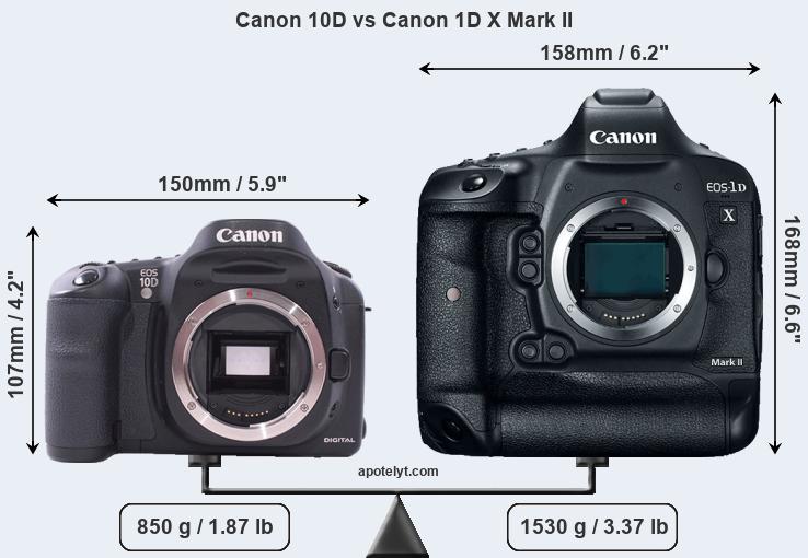 Size Canon 10D vs Canon 1D X Mark II