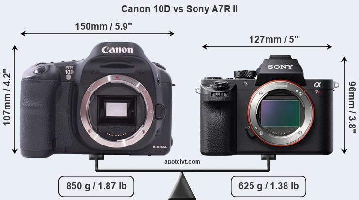 Size Canon 10D vs Sony A7R II