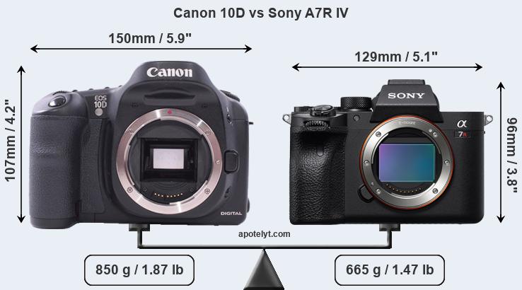 Size Canon 10D vs Sony A7R IV