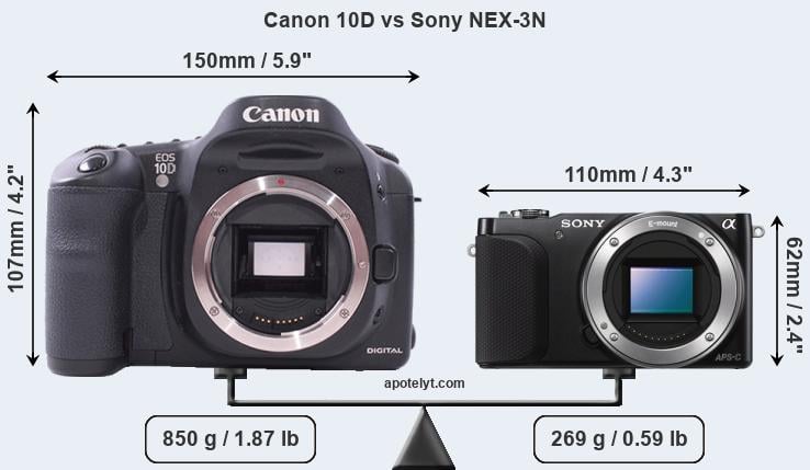 Size Canon 10D vs Sony NEX-3N