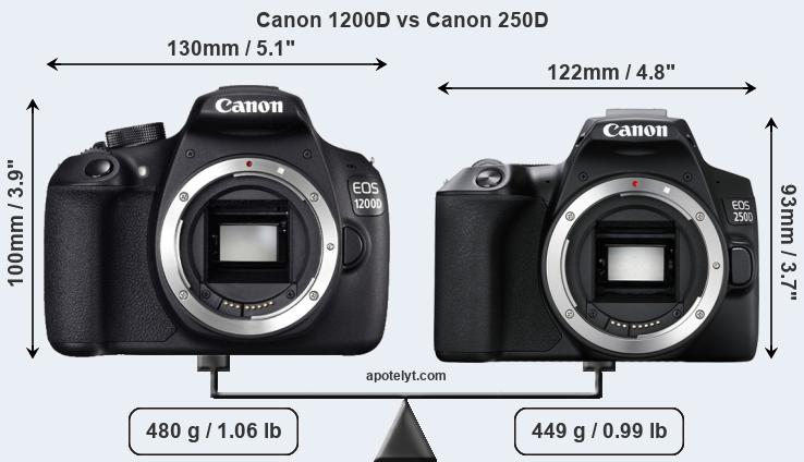 Size Canon 1200D vs Canon 250D