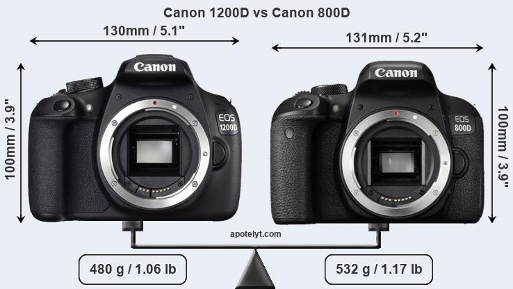 Size Canon 1200D vs Canon 800D