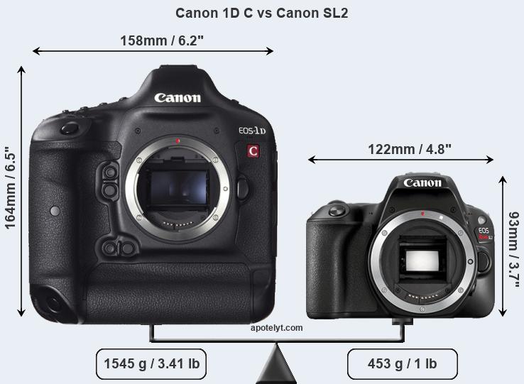 Size Canon 1D C vs Canon SL2.