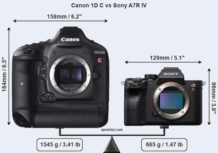 Size Canon 1D C vs Sony A7R IV