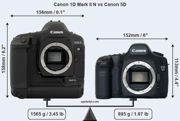 Size Canon 1D Mark II N vs Canon 5D
