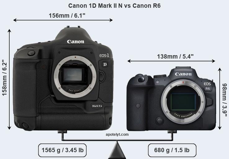 Size Canon 1D Mark II N vs Canon R6