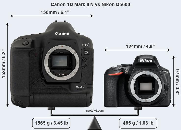 Size Canon 1D Mark II N vs Nikon D5600