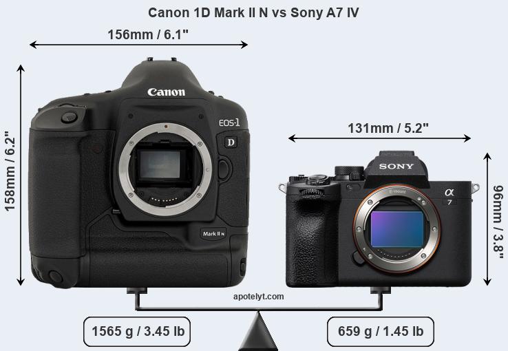 Size Canon 1D Mark II N vs Sony A7 IV