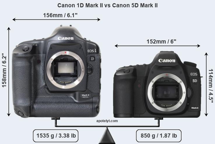 Size Canon 1D Mark II vs Canon 5D Mark II
