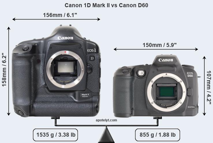 Size Canon 1D Mark II vs Canon D60