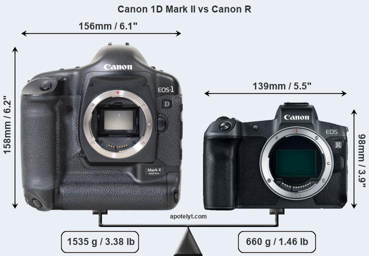 Size Canon 1D Mark II vs Canon R