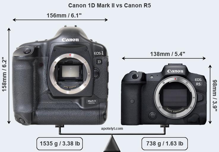Size Canon 1D Mark II vs Canon R5