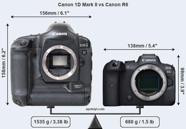 Size Canon 1D Mark II vs Canon R6