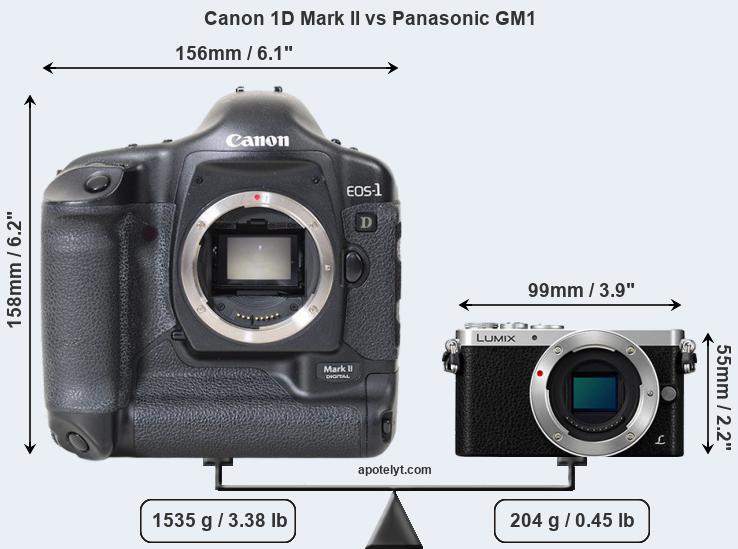 Size Canon 1D Mark II vs Panasonic GM1