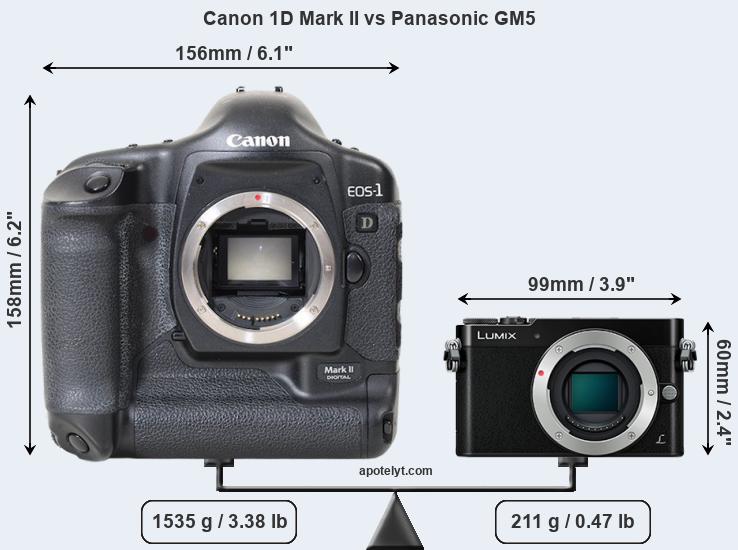 Size Canon 1D Mark II vs Panasonic GM5