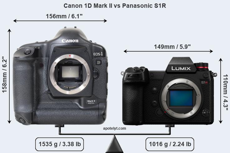 Size Canon 1D Mark II vs Panasonic S1R