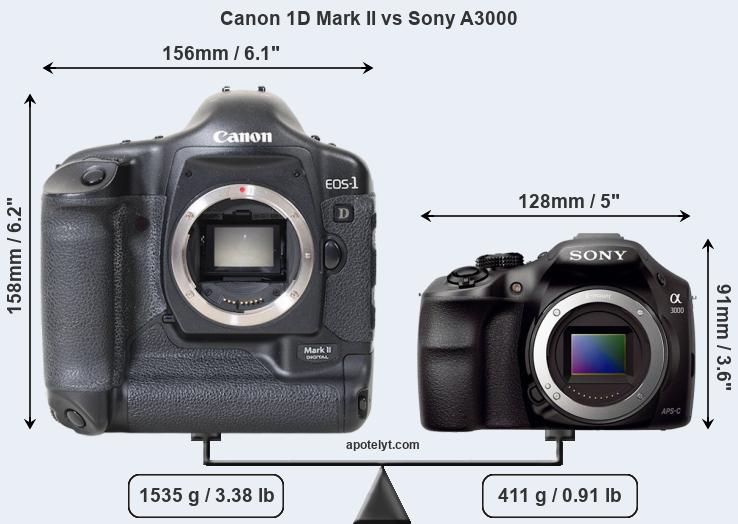 Size Canon 1D Mark II vs Sony A3000