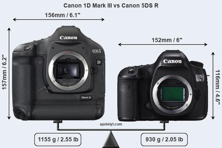 Size Canon 1D Mark III vs Canon 5DS R