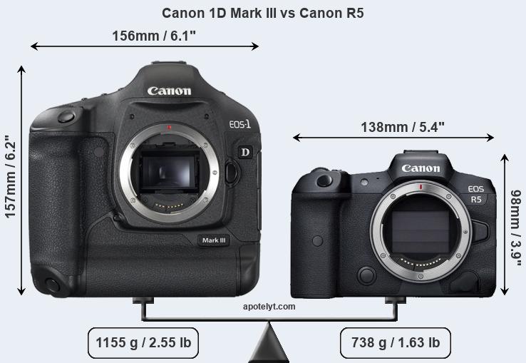 Size Canon 1D Mark III vs Canon R5