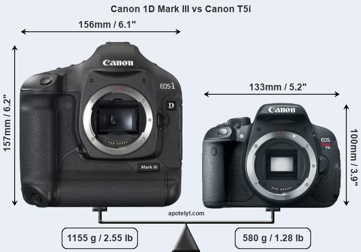 Size Canon 1D Mark III vs Canon T5i