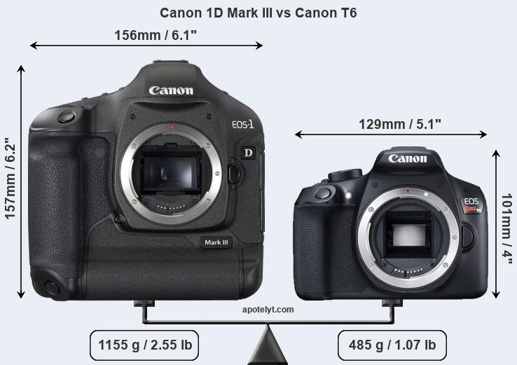 Size Canon 1D Mark III vs Canon T6
