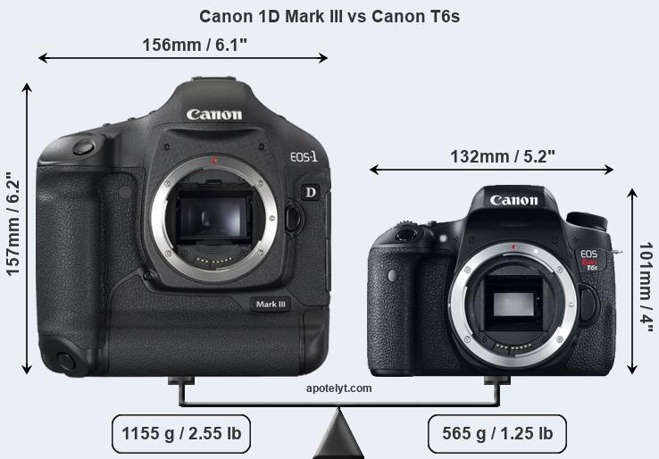 Size Canon 1D Mark III vs Canon T6s
