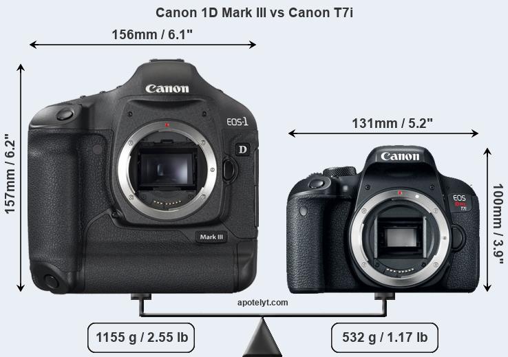 Size Canon 1D Mark III vs Canon T7i