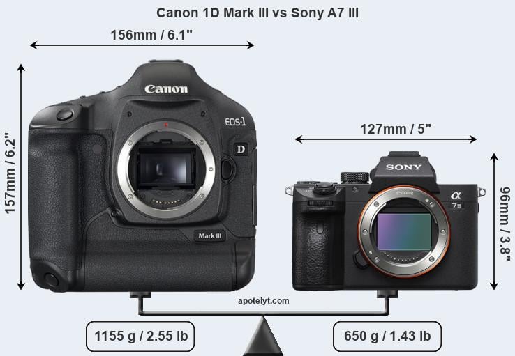 Size Canon 1D Mark III vs Sony A7 III