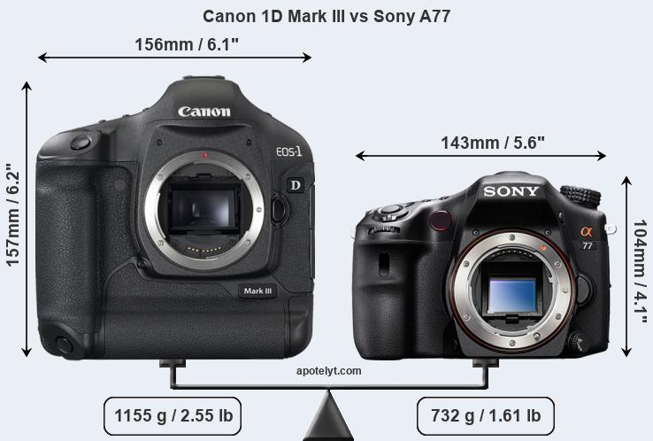 Size Canon 1D Mark III vs Sony A77