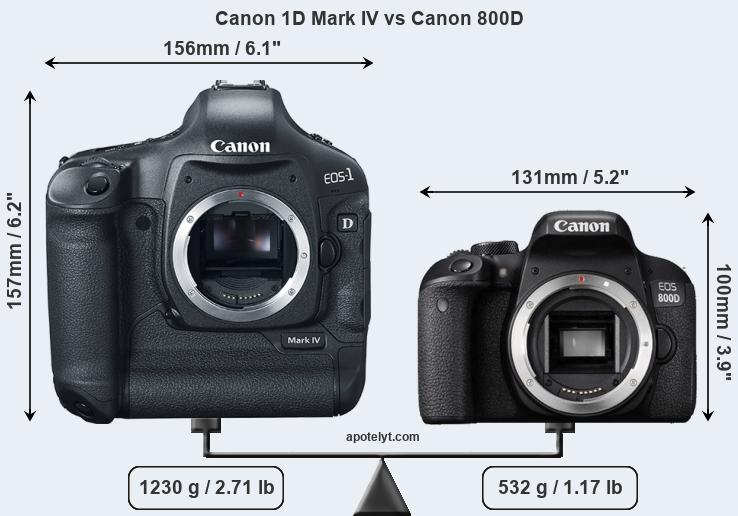 Size Canon 1D Mark IV vs Canon 800D