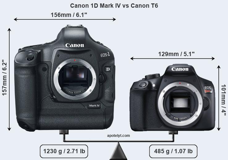 Size Canon 1D Mark IV vs Canon T6