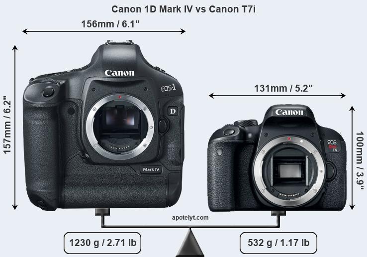 Size Canon 1D Mark IV vs Canon T7i