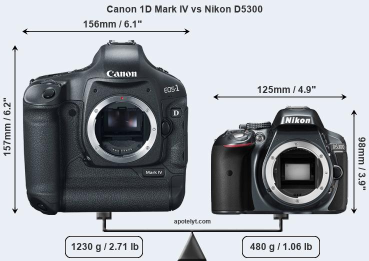 Size Canon 1D Mark IV vs Nikon D5300