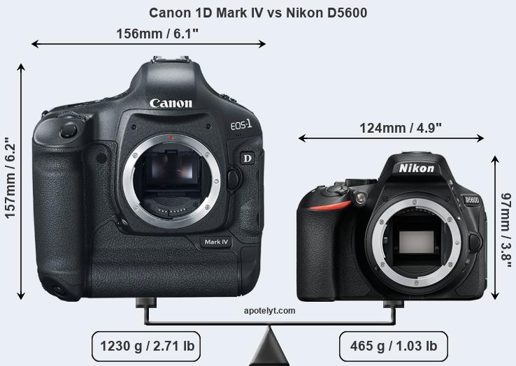 Size Canon 1D Mark IV vs Nikon D5600