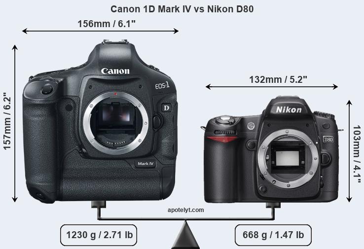 Size Canon 1D Mark IV vs Nikon D80