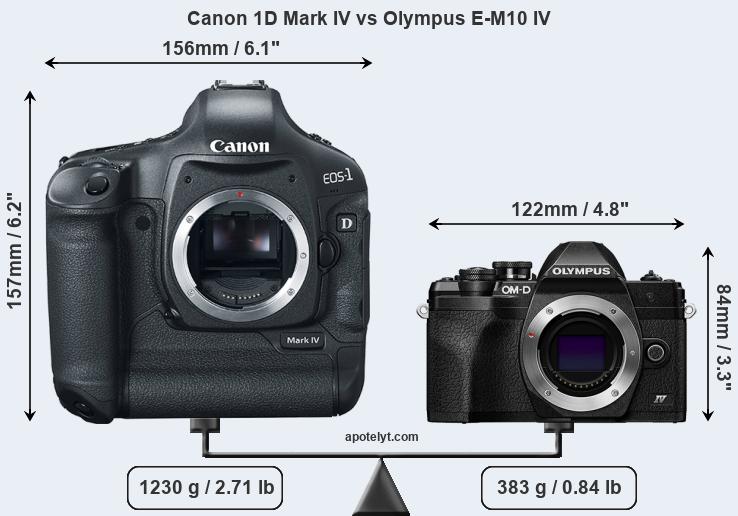 Size Canon 1D Mark IV vs Olympus E-M10 IV