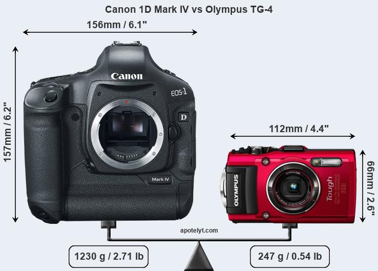 Size Canon 1D Mark IV vs Olympus TG-4