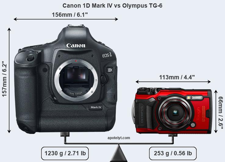 Size Canon 1D Mark IV vs Olympus TG-6