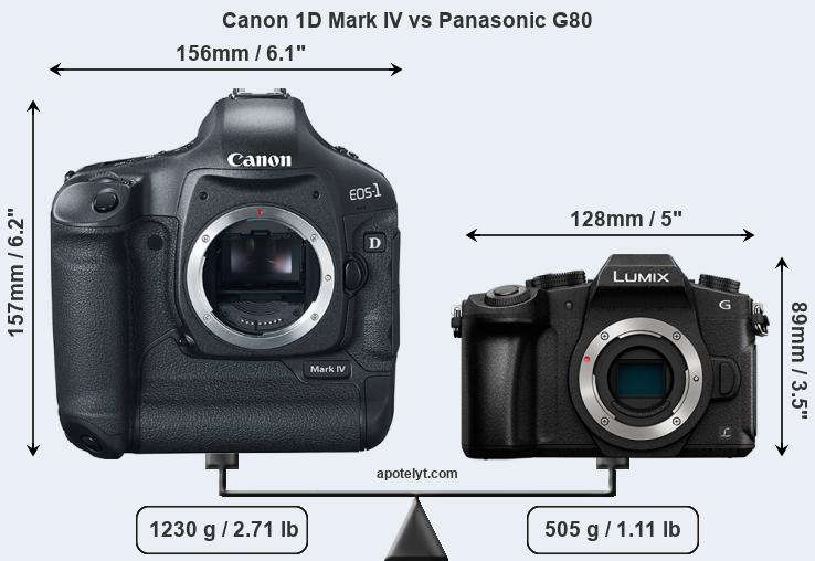 Size Canon 1D Mark IV vs Panasonic G80