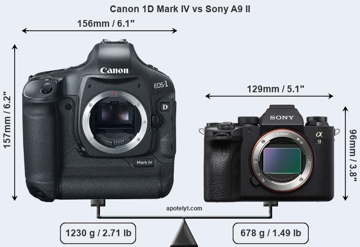Size Canon 1D Mark IV vs Sony A9 II