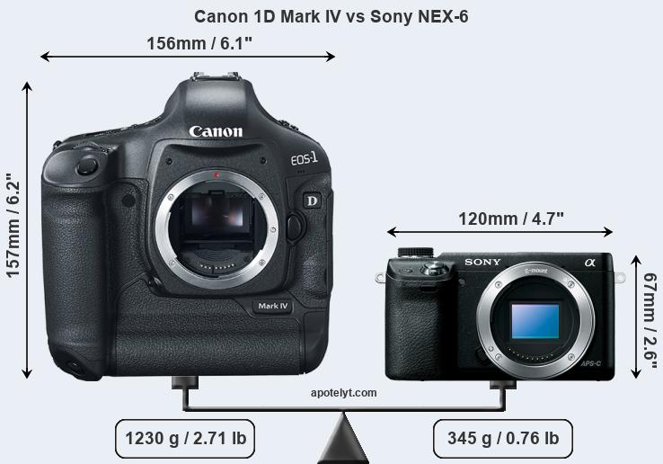 Size Canon 1D Mark IV vs Sony NEX-6