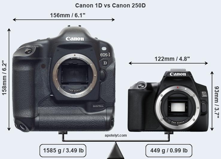 Size Canon 1D vs Canon 250D