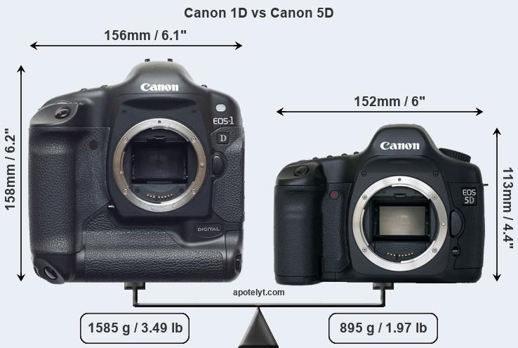 Size Canon 1D vs Canon 5D