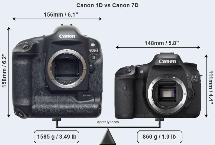 Size Canon 1D vs Canon 7D