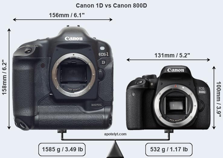 Size Canon 1D vs Canon 800D