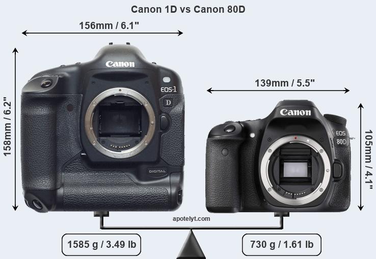 Size Canon 1D vs Canon 80D
