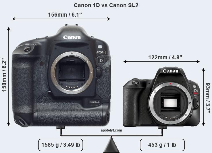 Size Canon 1D vs Canon SL2